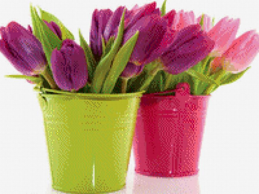 Тюльпаны - букет, тюльпаны, цветы - предпросмотр