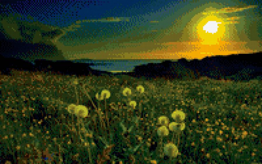 Закат - солнце, поле, одуванчик, закат - предпросмотр