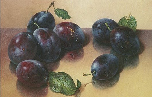 сливы - фрукты - оригинал