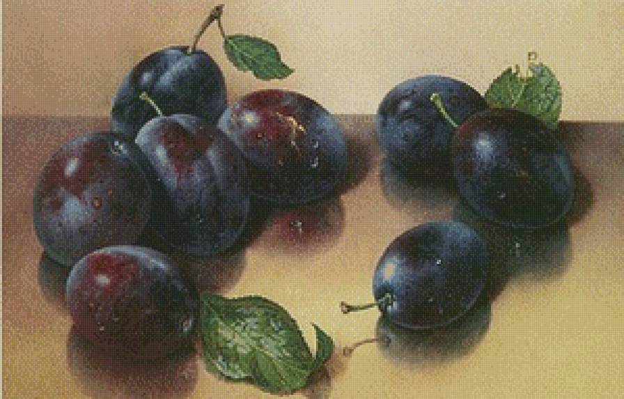 сливы - фрукты - предпросмотр