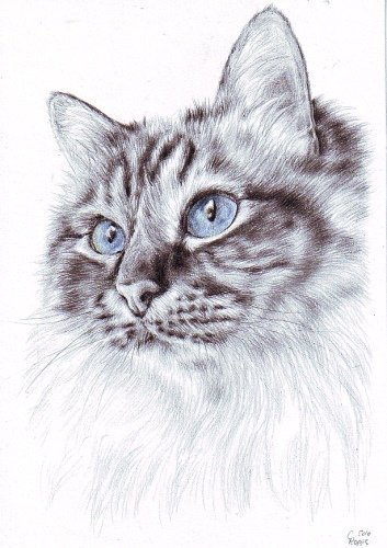 Кисюня - кот - оригинал