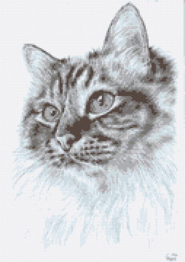 Кисюня - кот - предпросмотр