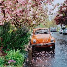 Схема вышивки «№665431»