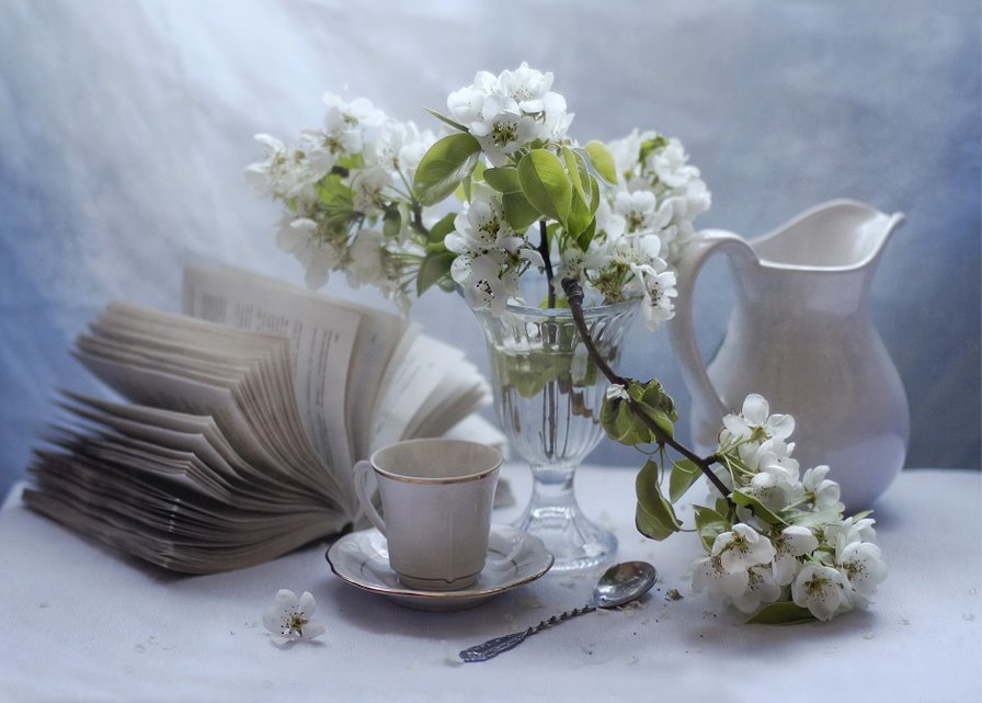 натюрморт-2 - настроение, белое, цветы, красота - оригинал