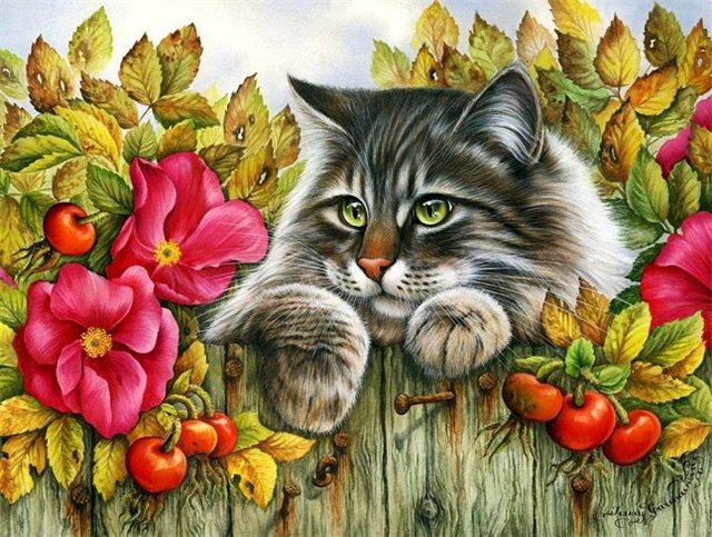 Кот из haed - оригинал