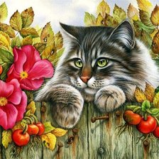 Схема вышивки «Кот из haed»