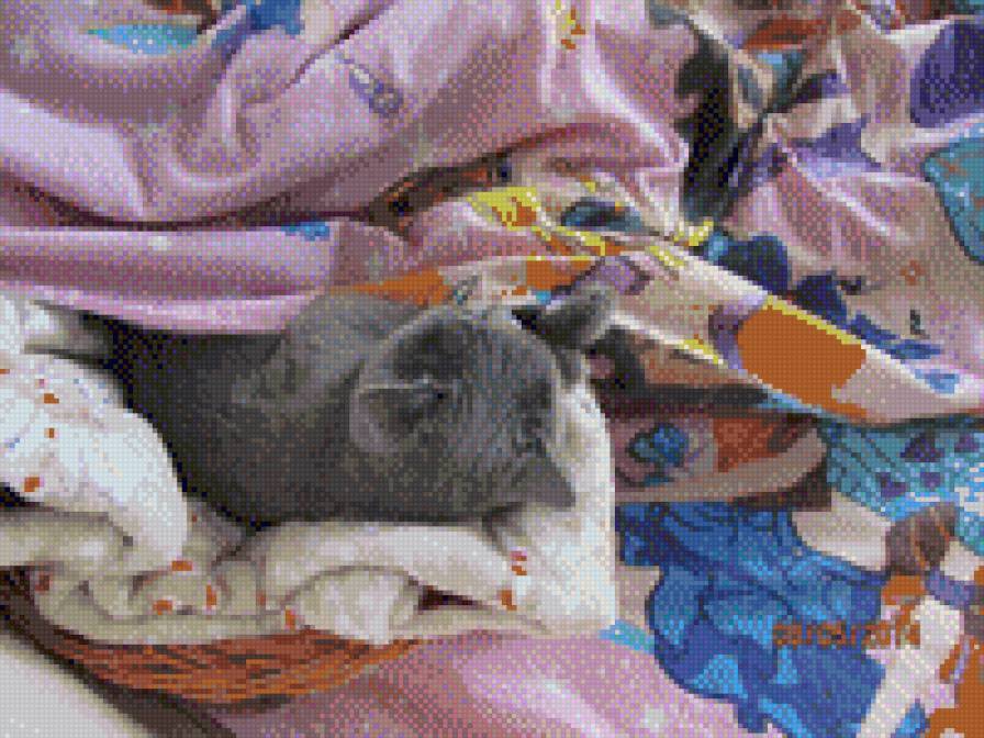 фая - предпросмотр