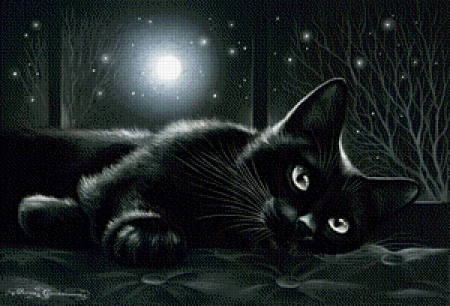 Черный кот - предпросмотр