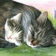 Кошка с котенком