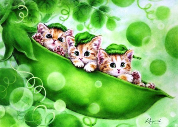 №665668 - оригинал