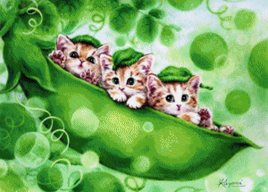 №665668 - предпросмотр