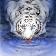 Схема вышивки «№665669»