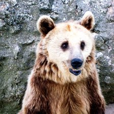 Схема вышивки «Бурый Мишка»