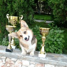 Схема вышивки «The Best»