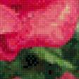 Предпросмотр схемы вышивки «серия "розы"» (№666017)