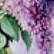 Предпросмотр схемы вышивки «букет сирени» (№666039)