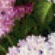 Предпросмотр схемы вышивки «букет сирени» (№666046)