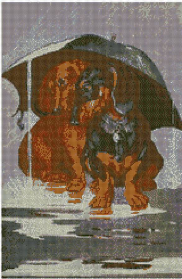 таксы под зонтом - предпросмотр