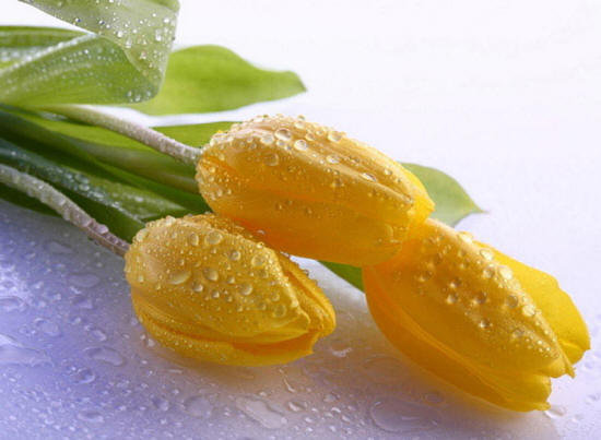 №666230 - оригинал