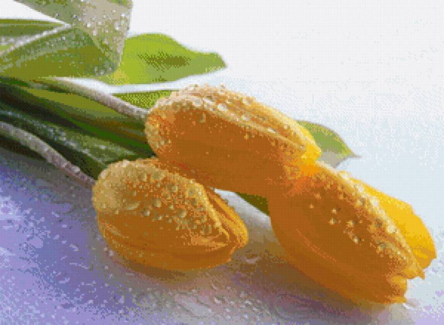 №666230 - предпросмотр