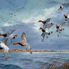 Схема вышивки «охота на уток»