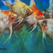 Схема вышивки «рыбки акварель»