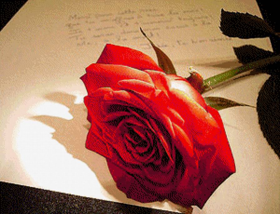 №666343 - предпросмотр