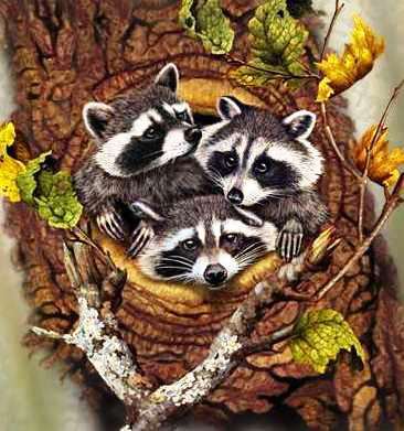 №666601 - оригинал