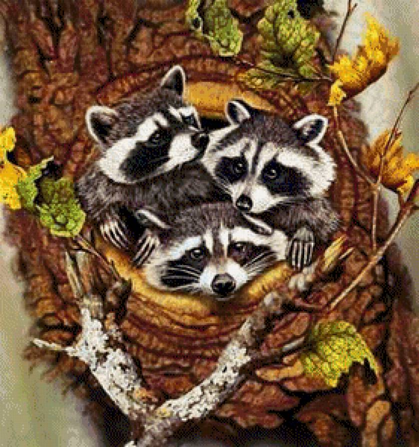 №666601 - предпросмотр