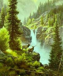 №666610 - оригинал