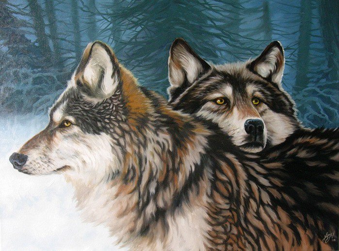 пара волков - волки, животные - оригинал