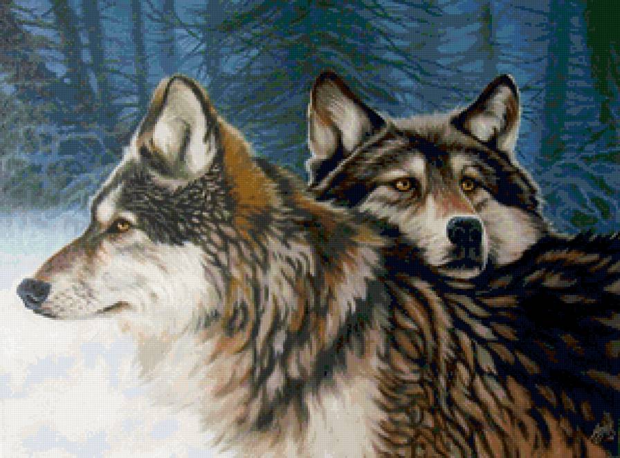 пара волков - волки, животные - предпросмотр