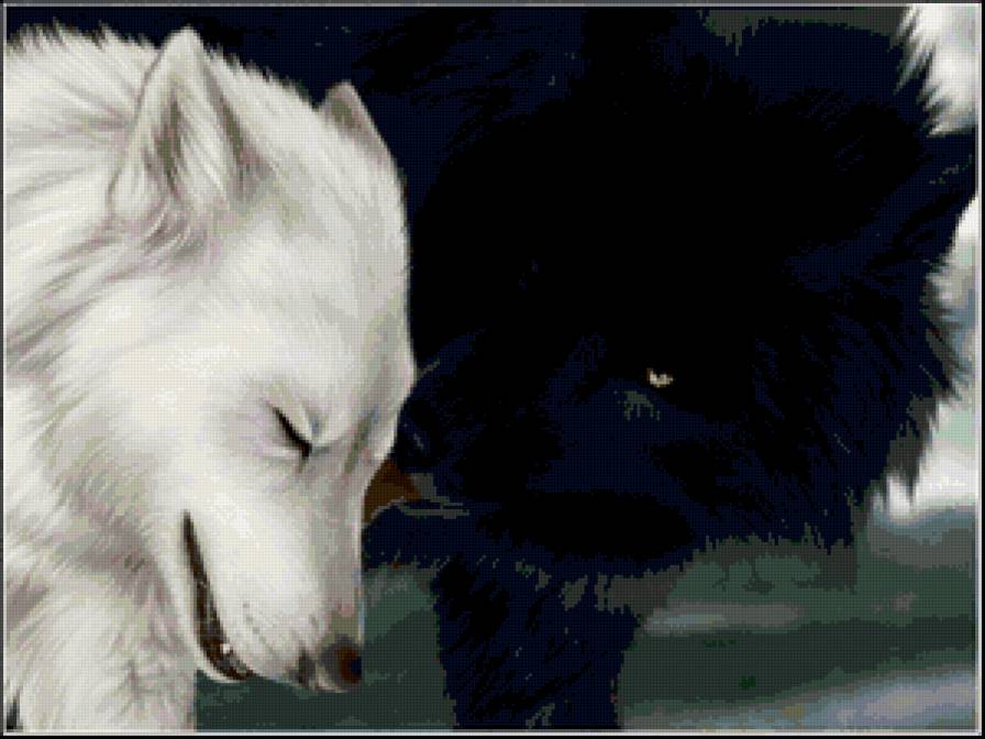 волк и волчица - животные, волки - предпросмотр