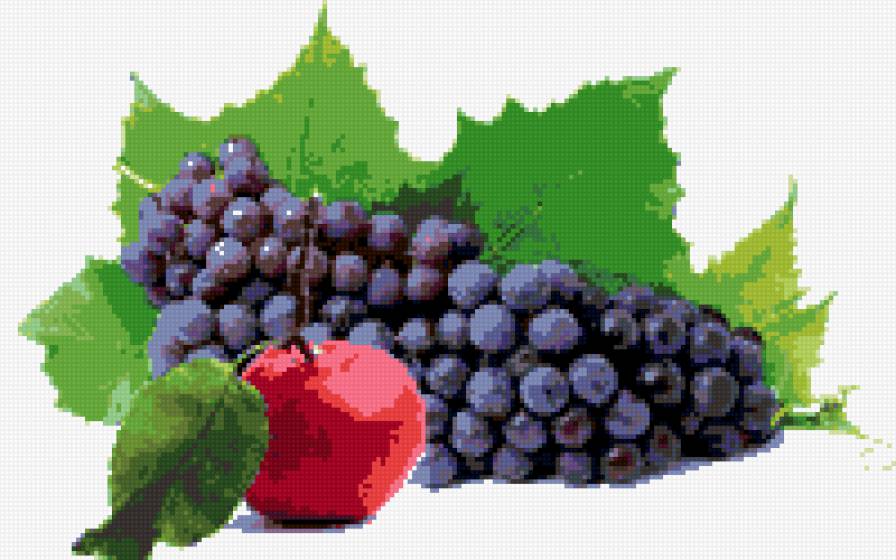 гроздь винограда - ягоды, фрукты - предпросмотр