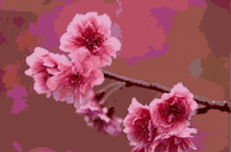 сакура - предпросмотр