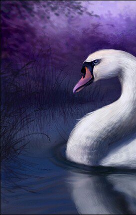 №666822 - лебедь, озеро - оригинал