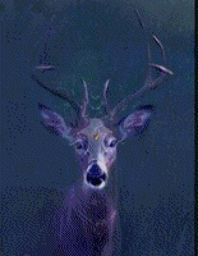 олень - фентези - предпросмотр