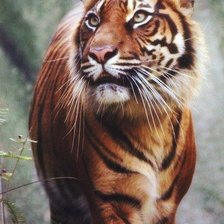 Схема вышивки «№666859»