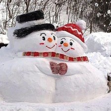 Схема вышивки «снежная пара»