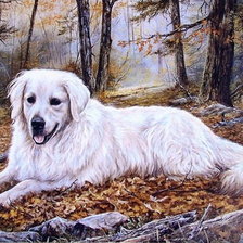 Схема вышивки «друг»