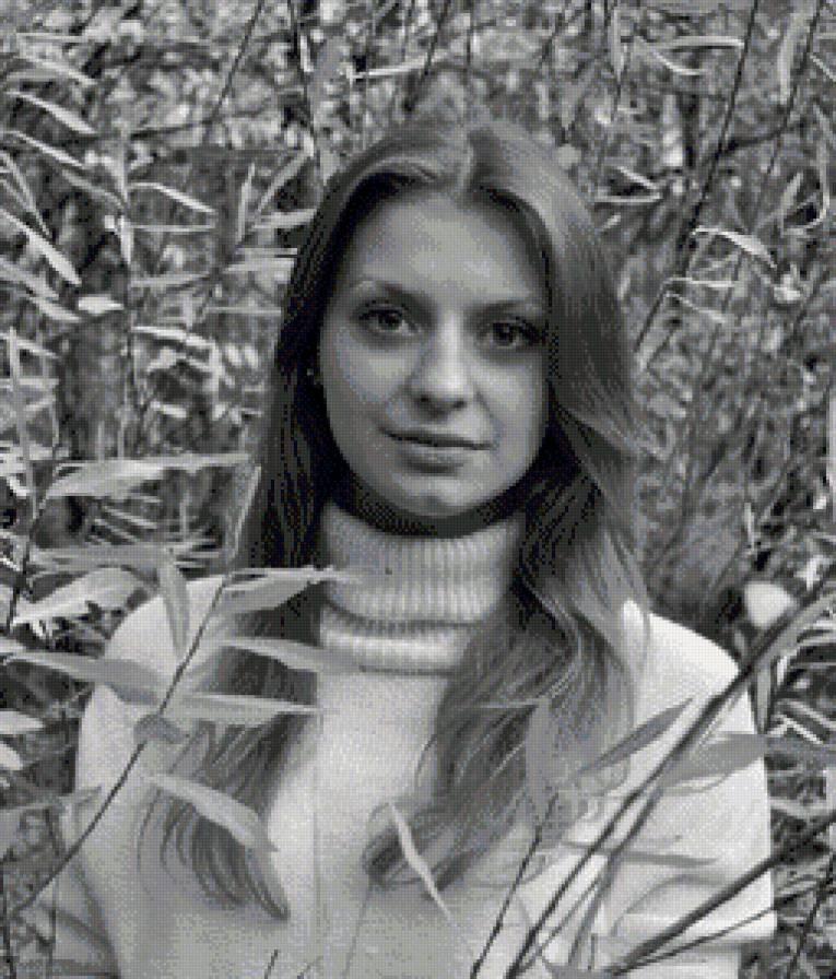 ввввв - предпросмотр