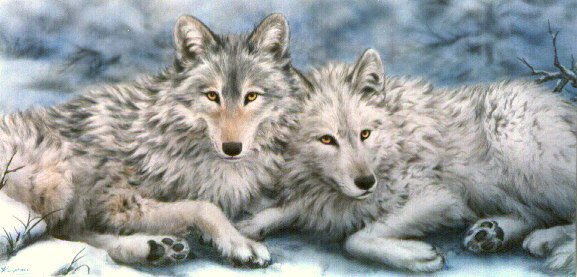 №667006 - оригинал