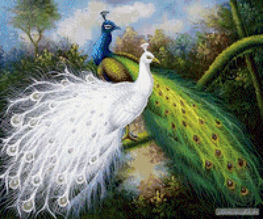 два павлина - павлины, белый, пара, зеленый - предпросмотр