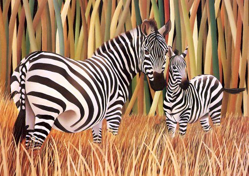 зебры - животные, пано, природа, африка - оригинал