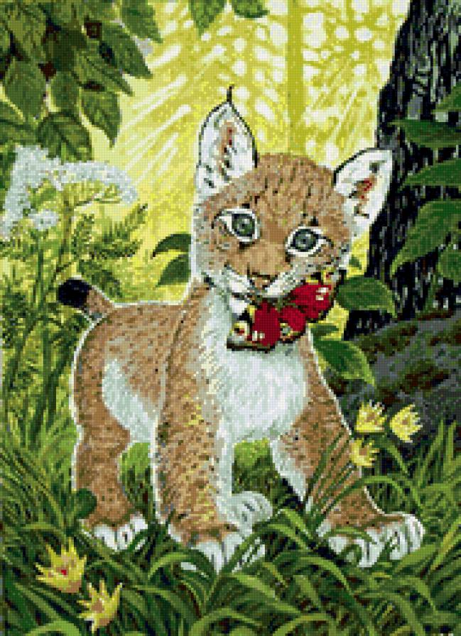 маленький охотник - бабочки, кошки, рысь, хищники, природа, животные - предпросмотр