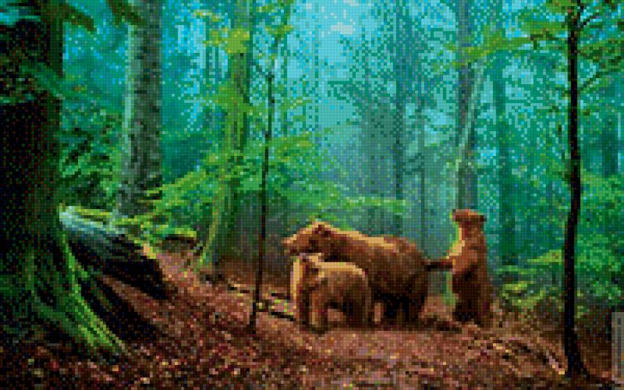 три медведя - лес, семья, медведи - предпросмотр