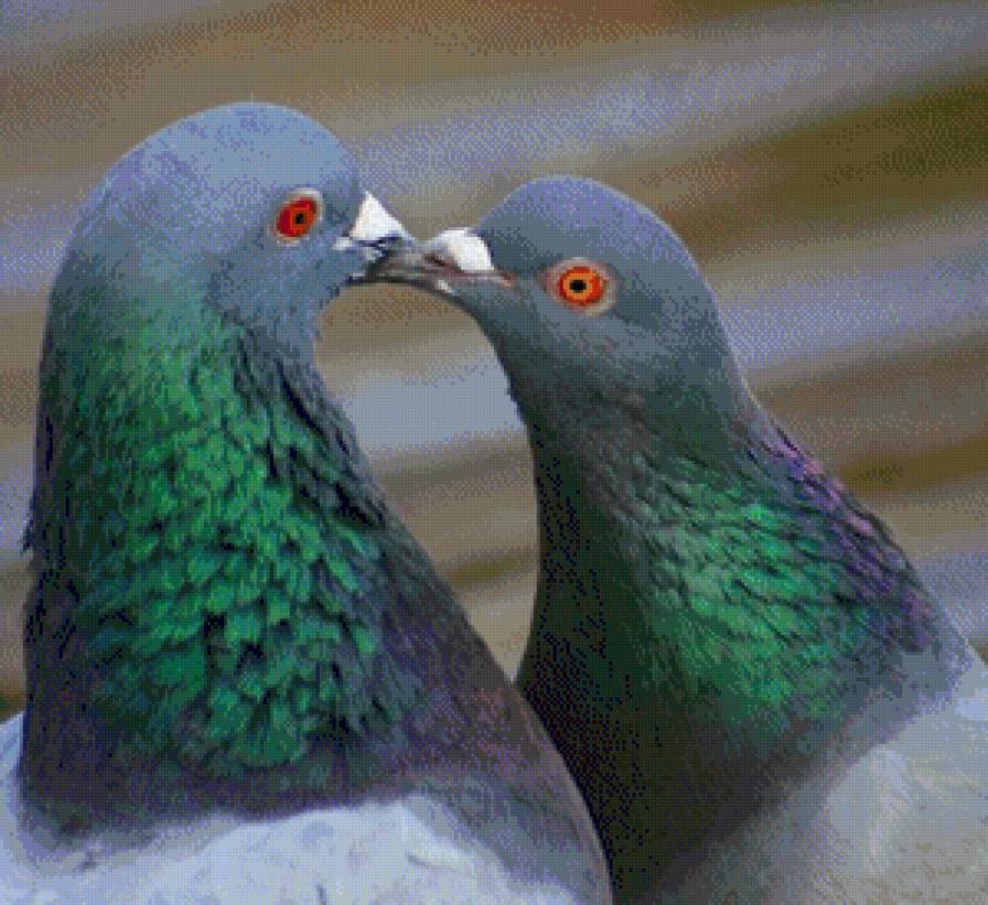 kiss - предпросмотр