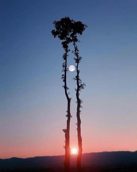 Рассвет - картина - оригинал