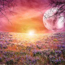 Схема вышивки «№667417»