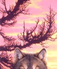 Схема вышивки «№667523»